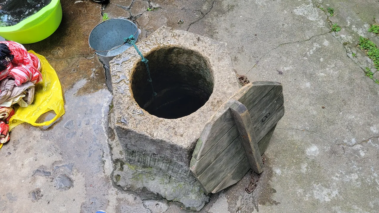 20230422_104545.jpg