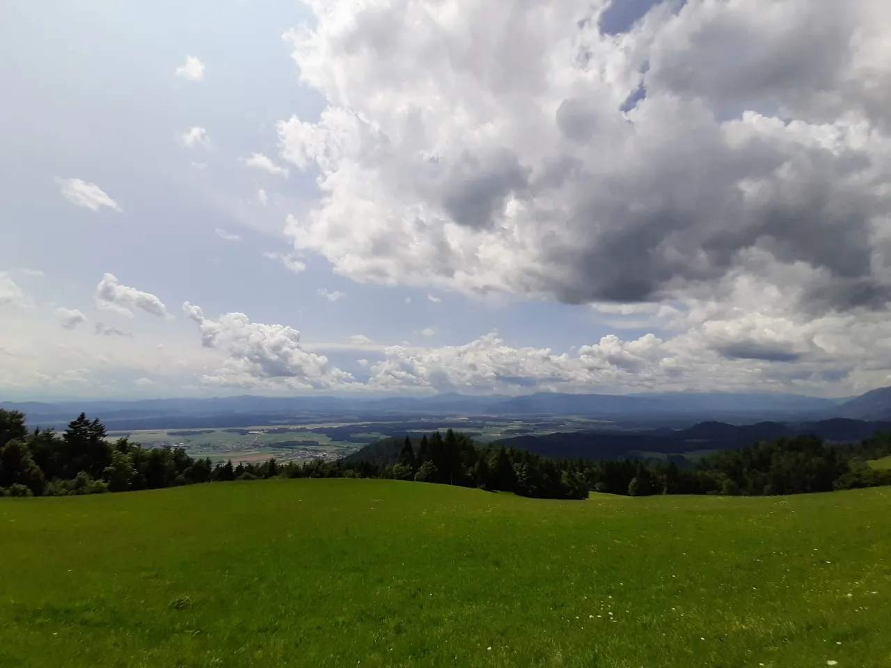 20190713_132846.jpg