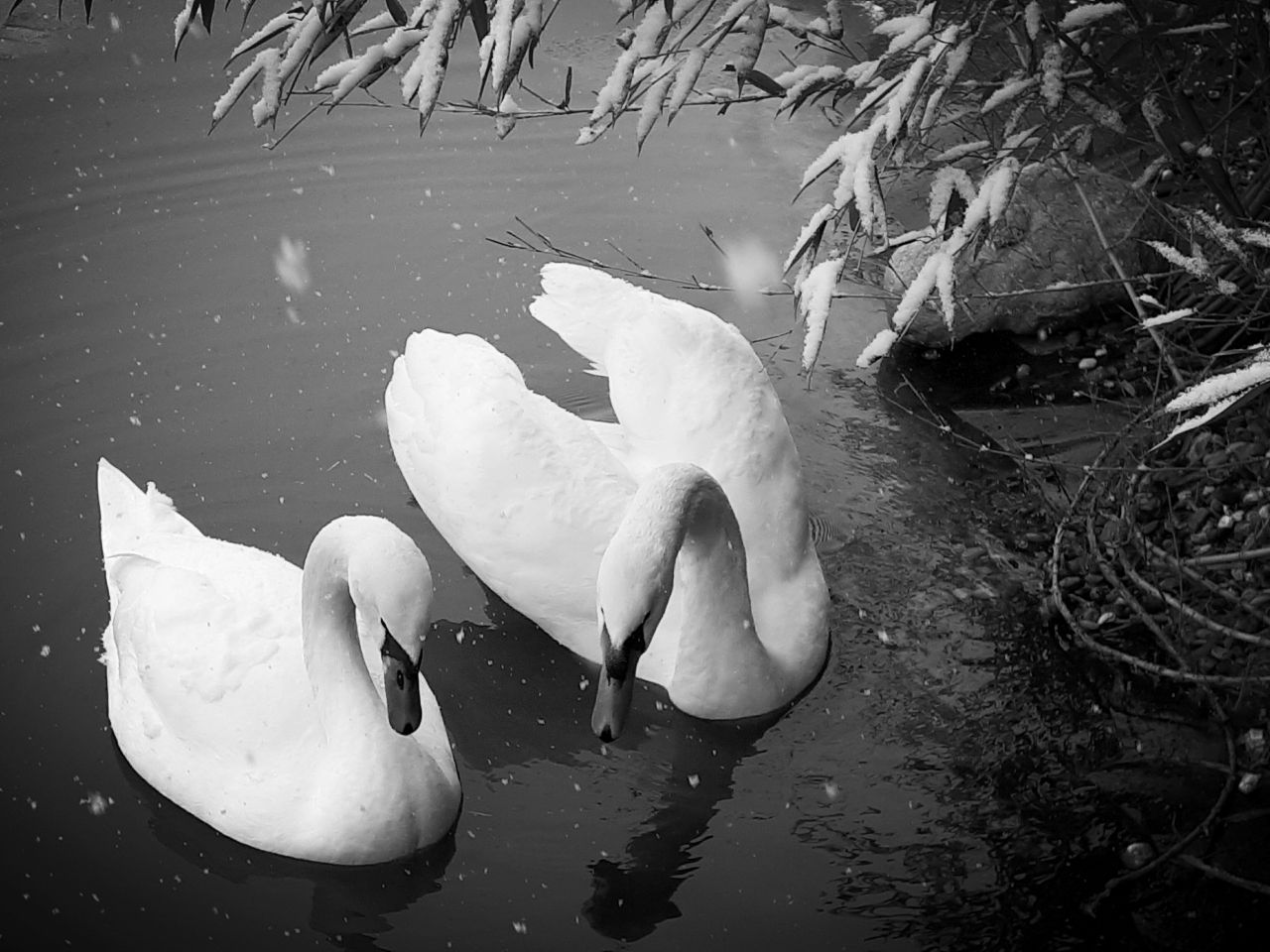 20220122_133505.jpg