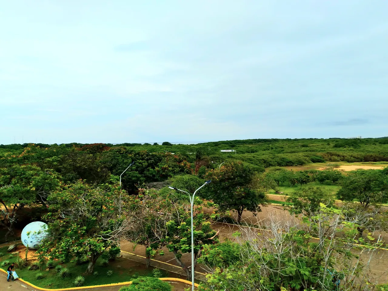 20250426_101220.jpg