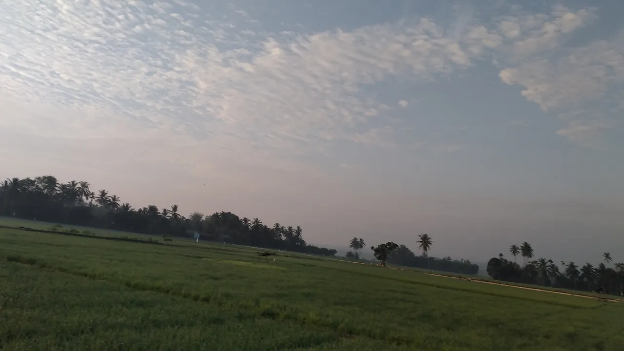 20240317_070438.jpg