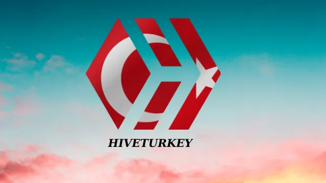 HİVETURKEY.png