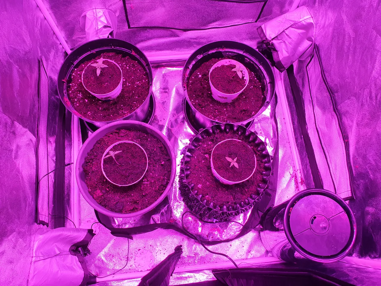 20220201_123032.jpg