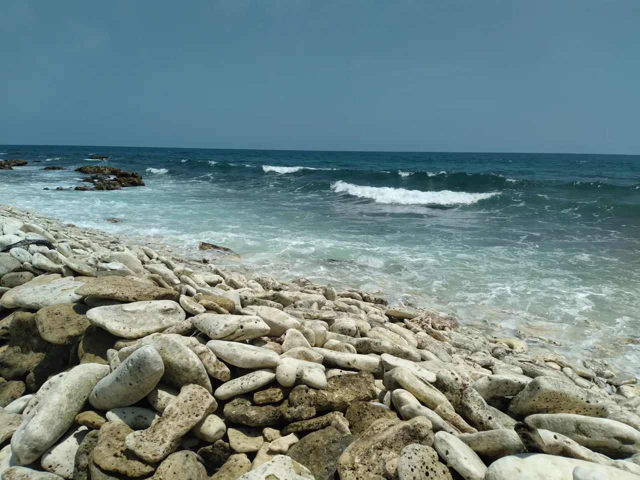 20230909_114139.jpg
