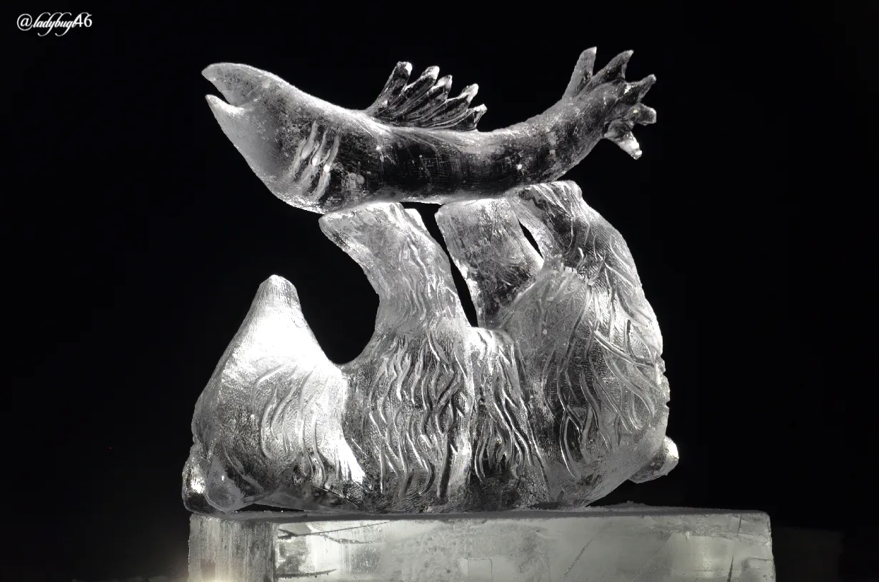 ice sculpture.jpg