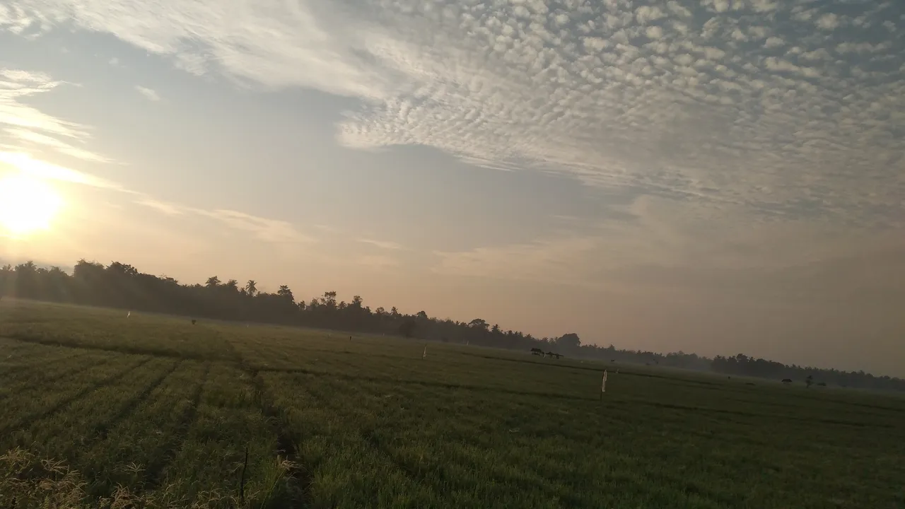 20240317_070227.jpg