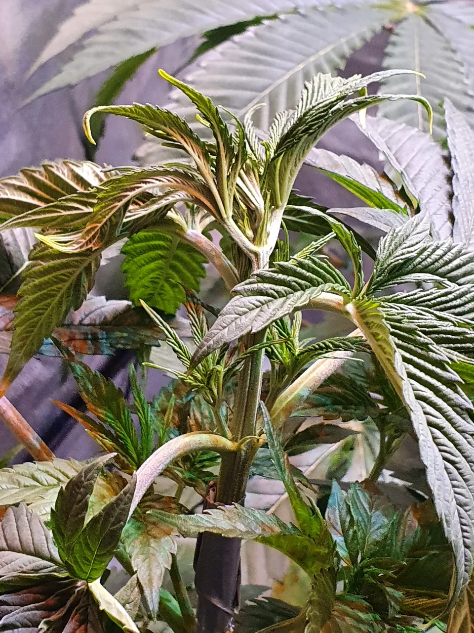20220520_153853.jpg