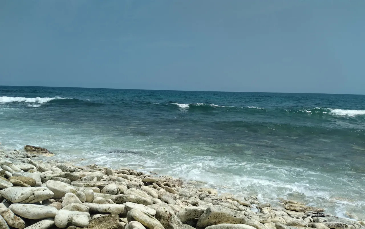 20230909_114029.jpg