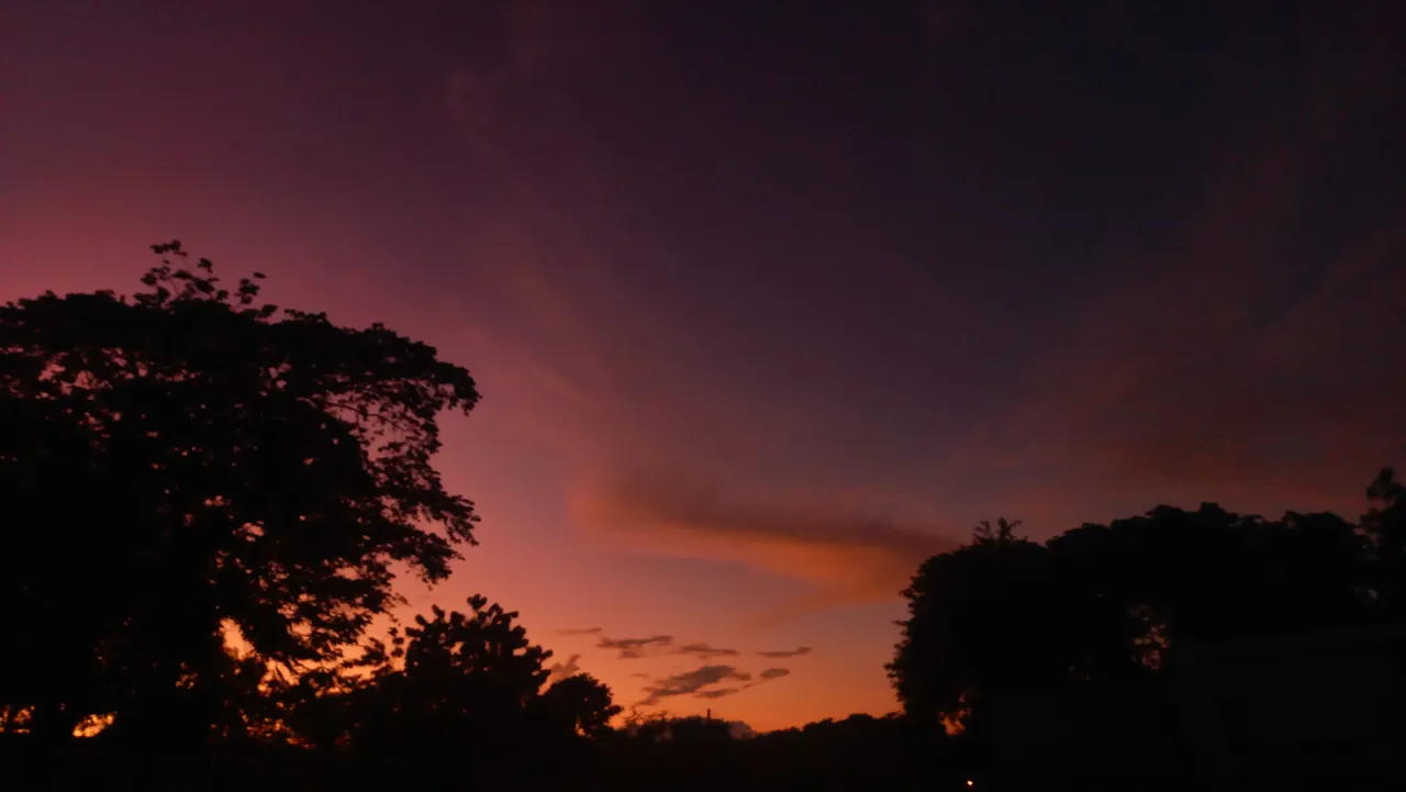 20250716_190701.jpg