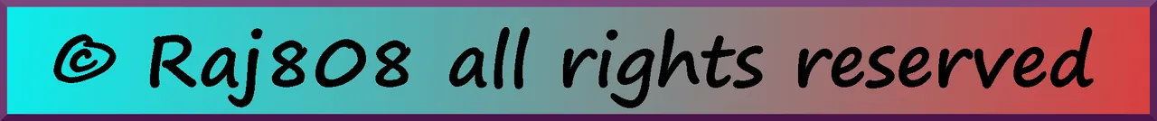 Copyrightbanner.png