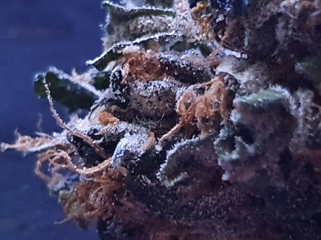 20210815_025044.jpg