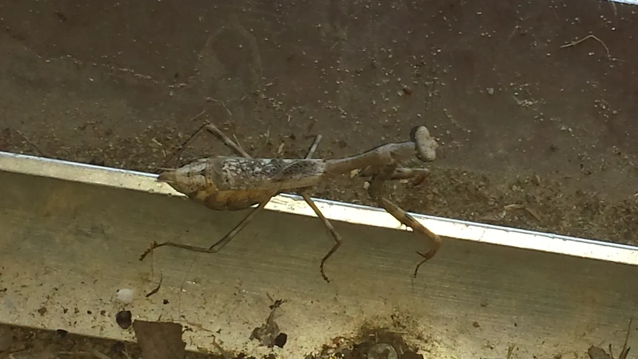 20200930_174304.jpg