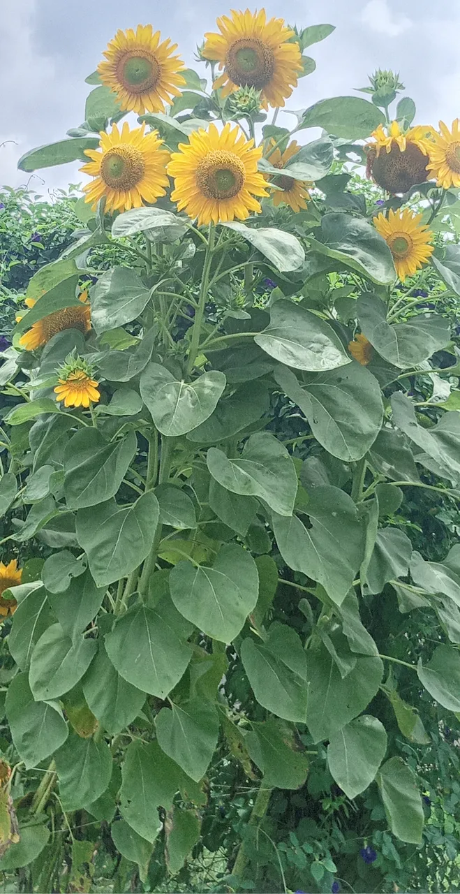 20230819_125511.jpg