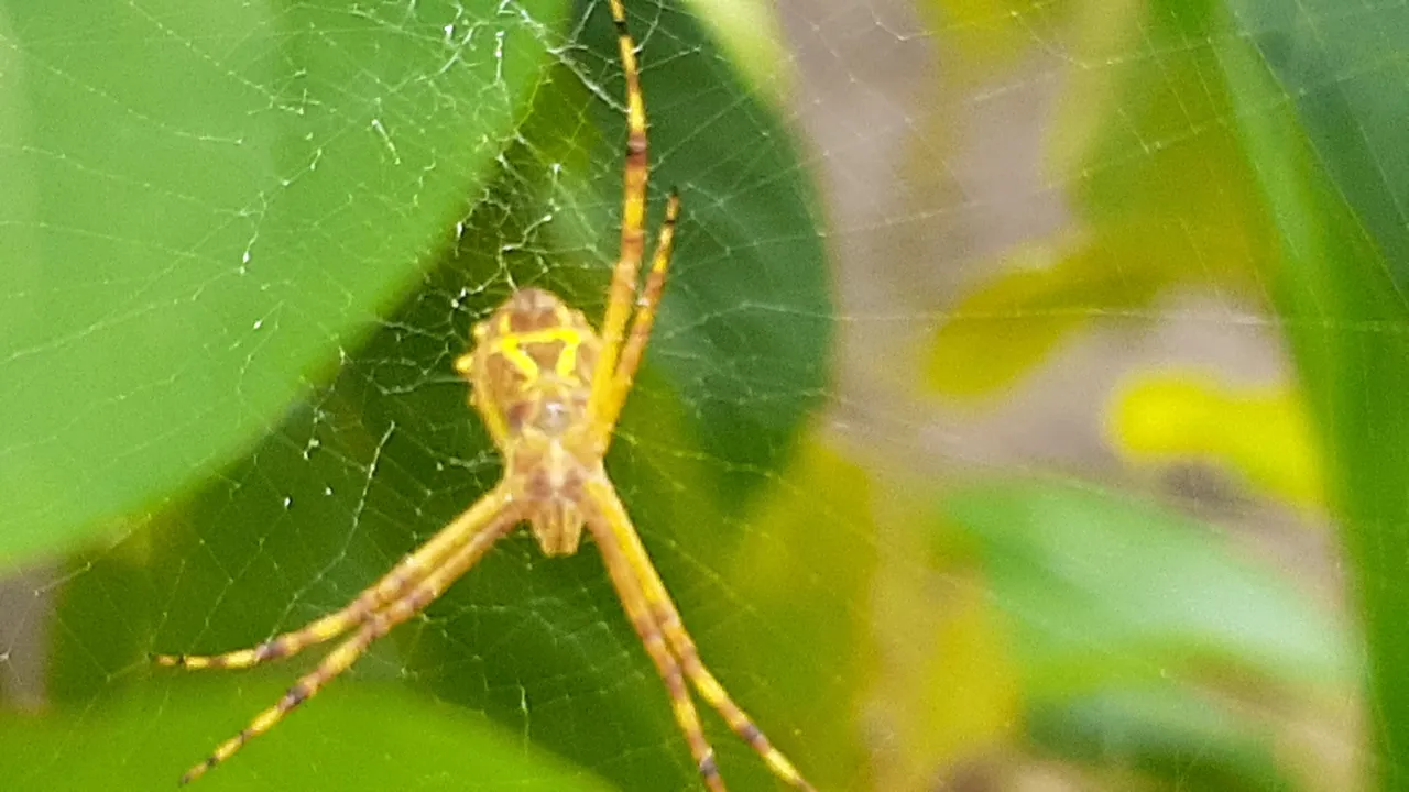 20210806_122739.jpg