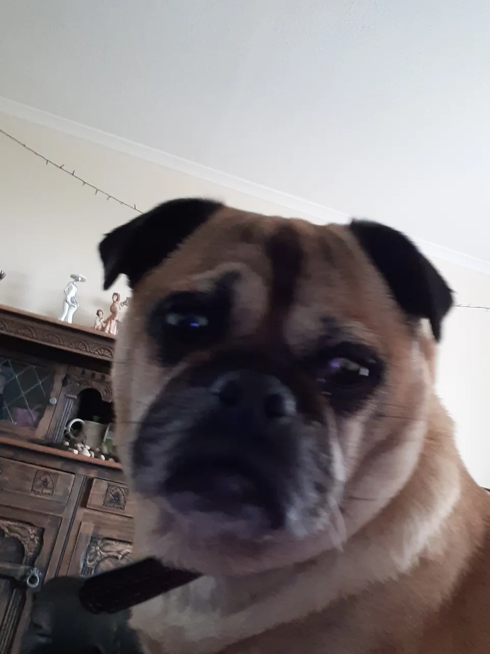 20220423_175825.jpg