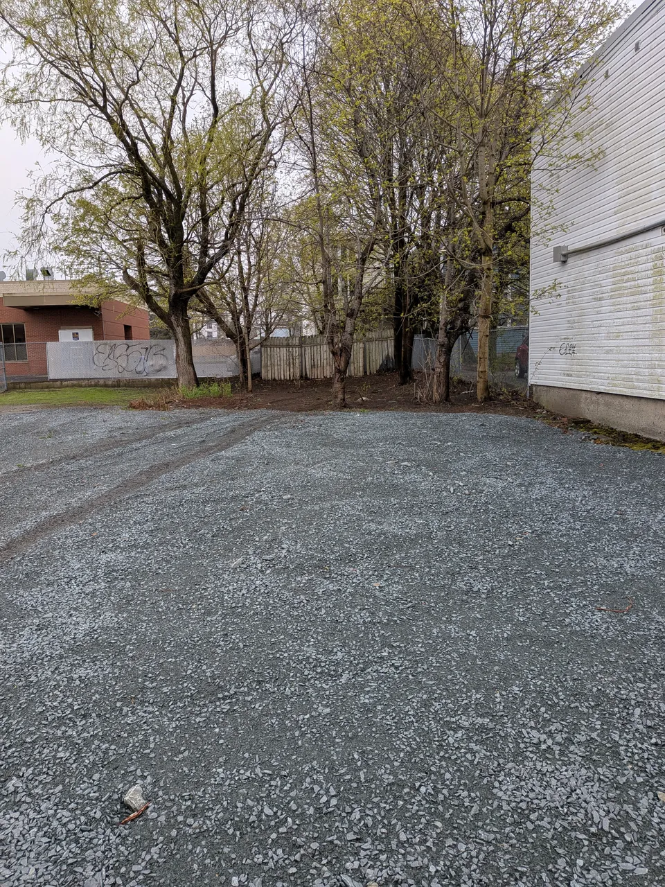flattened=bilby.jpg