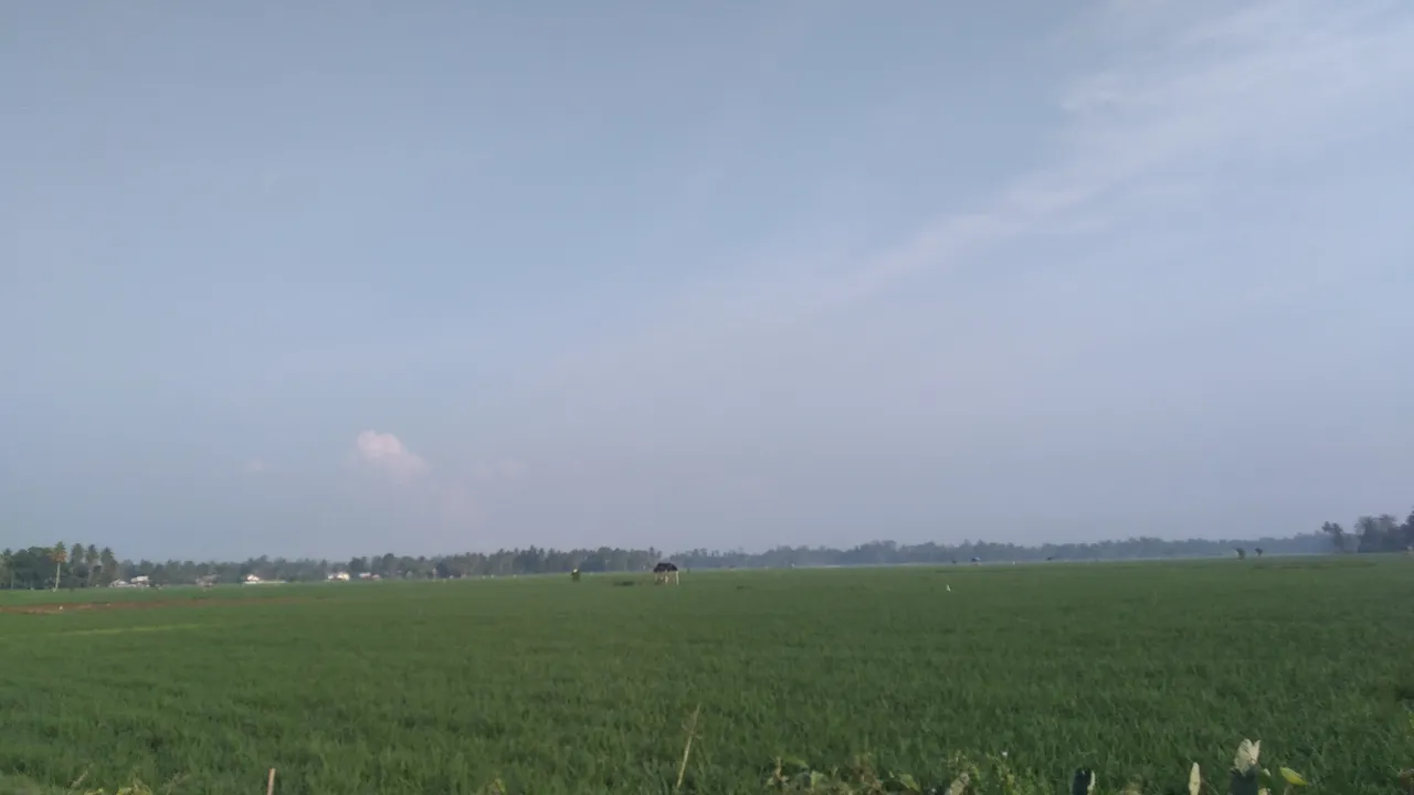 20240309_075754.jpg