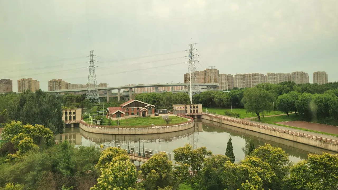 20250808_133736.jpg
