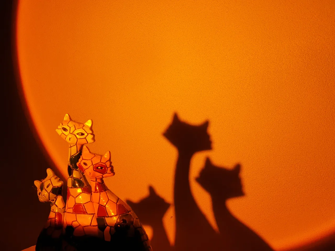 20210812_001556.jpg