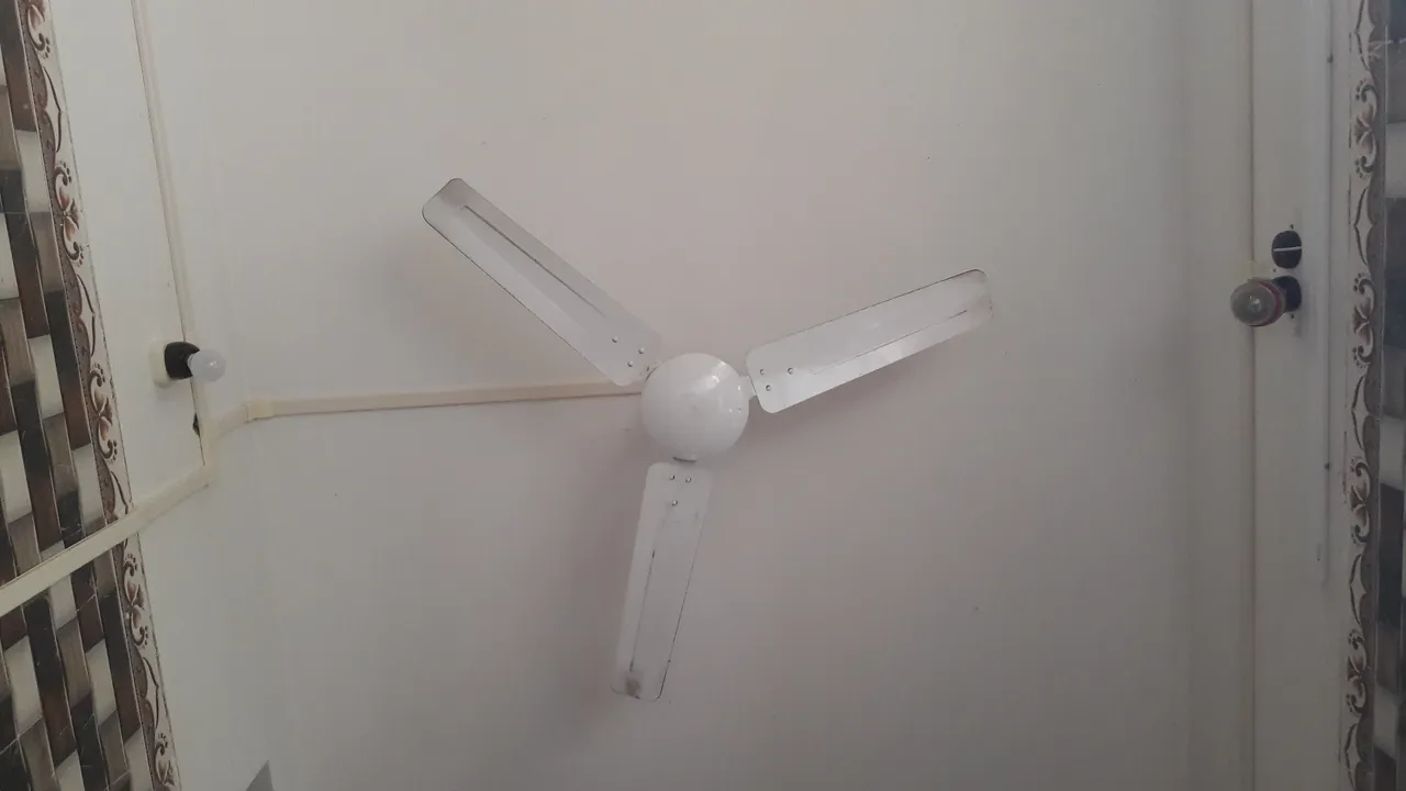 20200821_162344.jpg