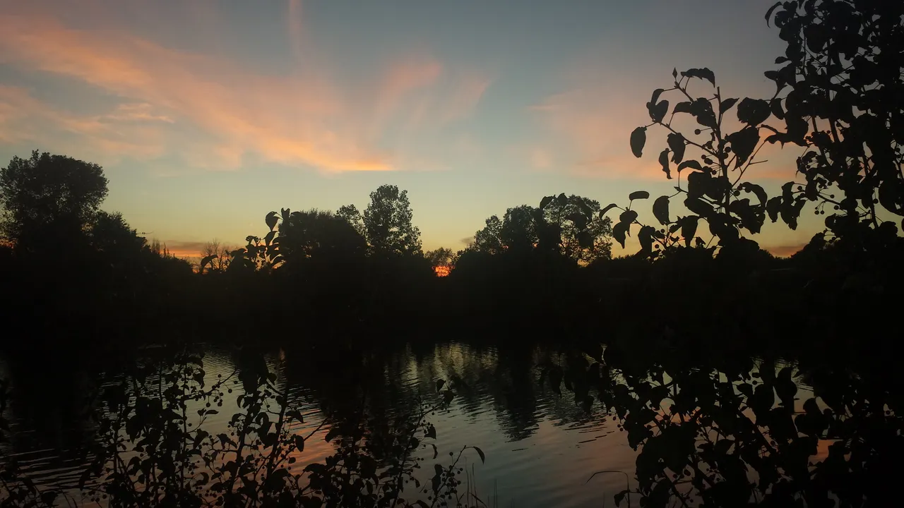 20200929_191817.jpg