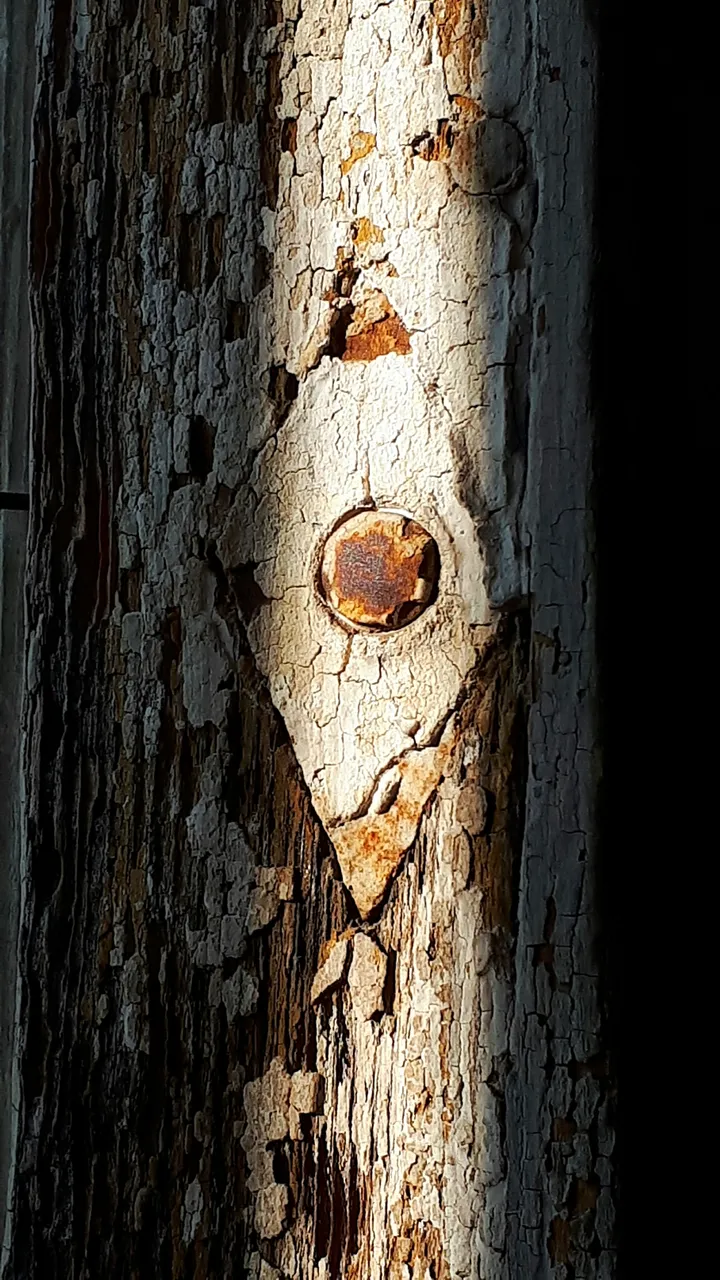20250428_071510.jpg