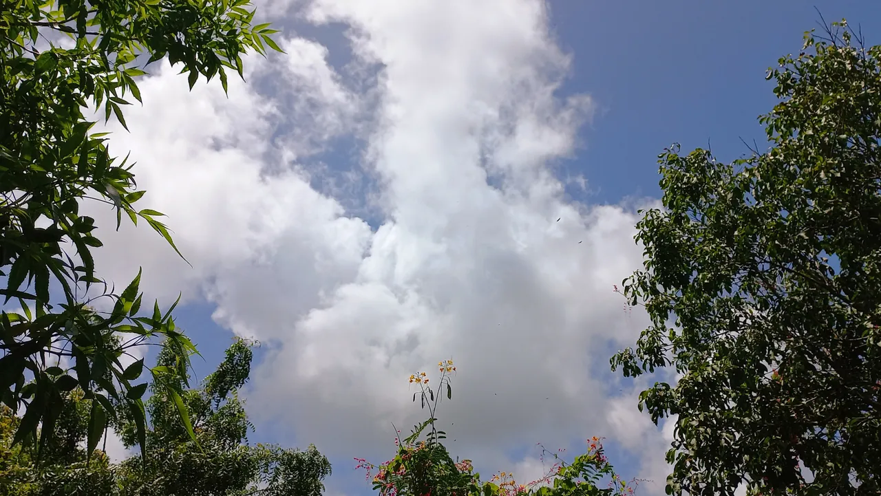 20250713_130508.jpg