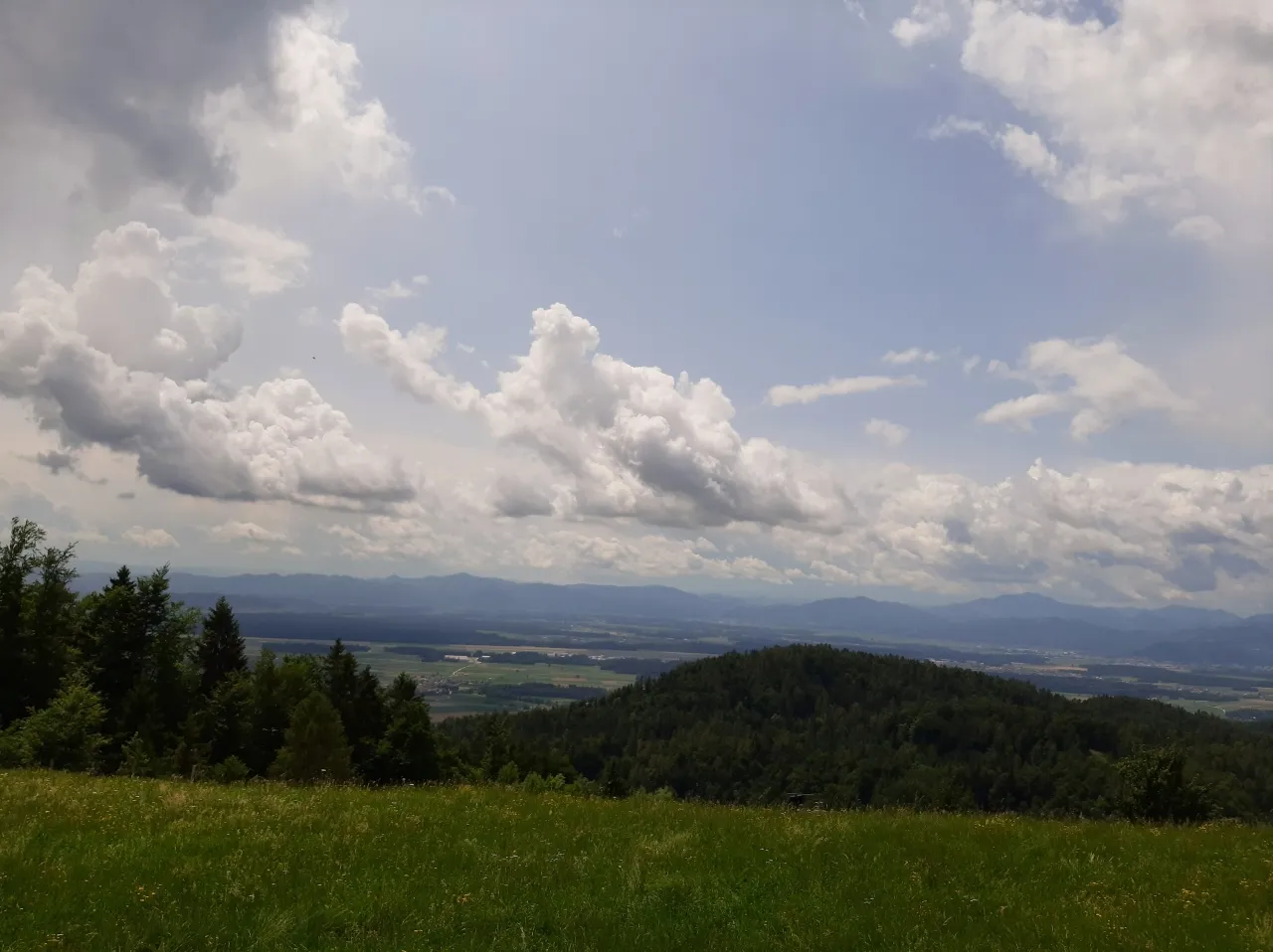20190713_131955.jpg