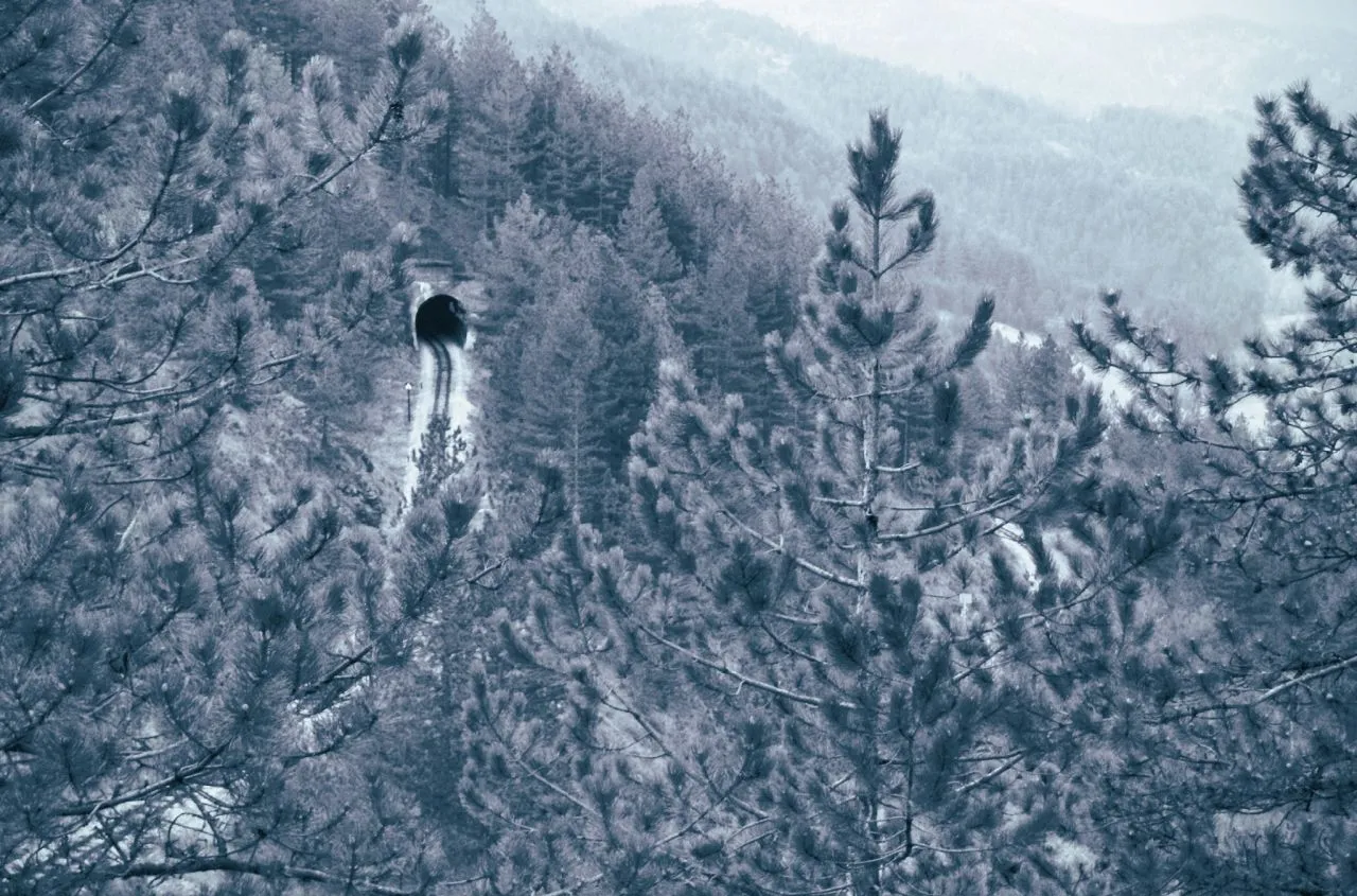 20251102_122243.jpg