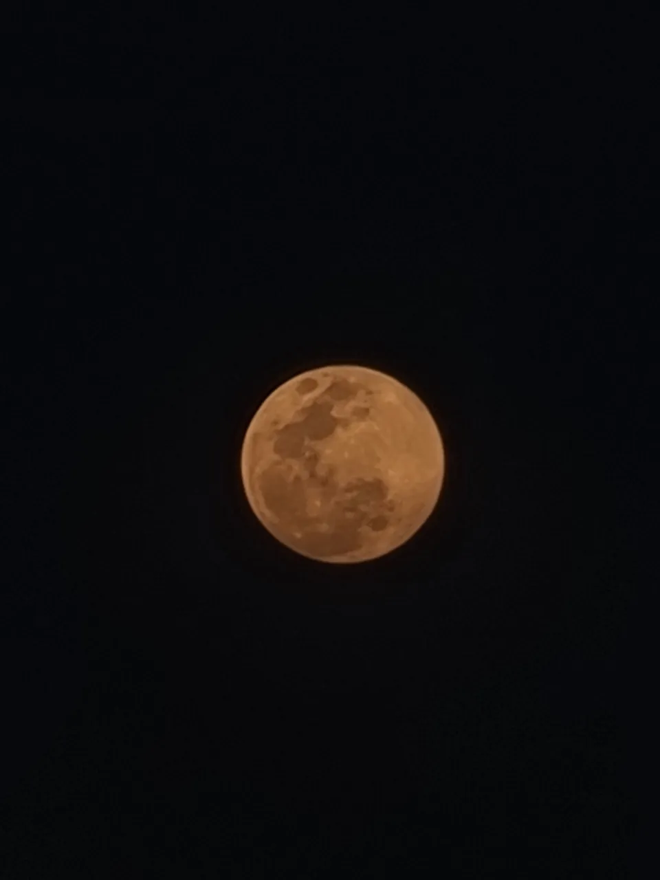 20230106_184341.jpg