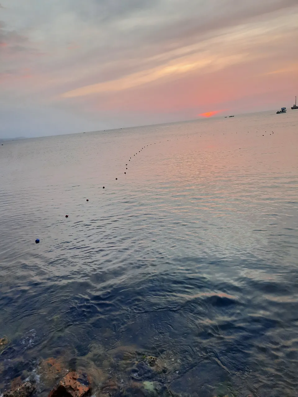 20210427_182552.jpg