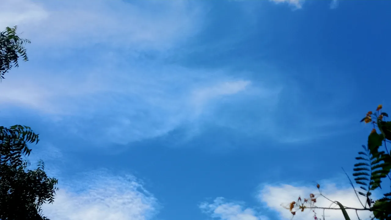 20250720_140107.jpg