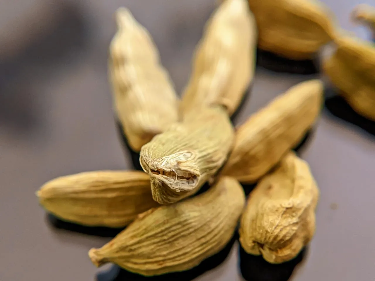 cardamom (3).jpeg