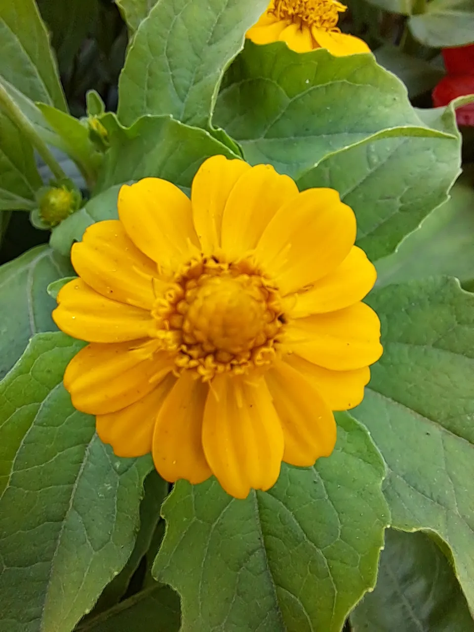 20221012_101017.jpg
