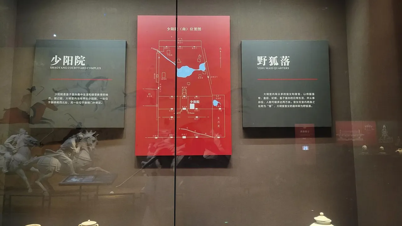 20240823_120432.jpg