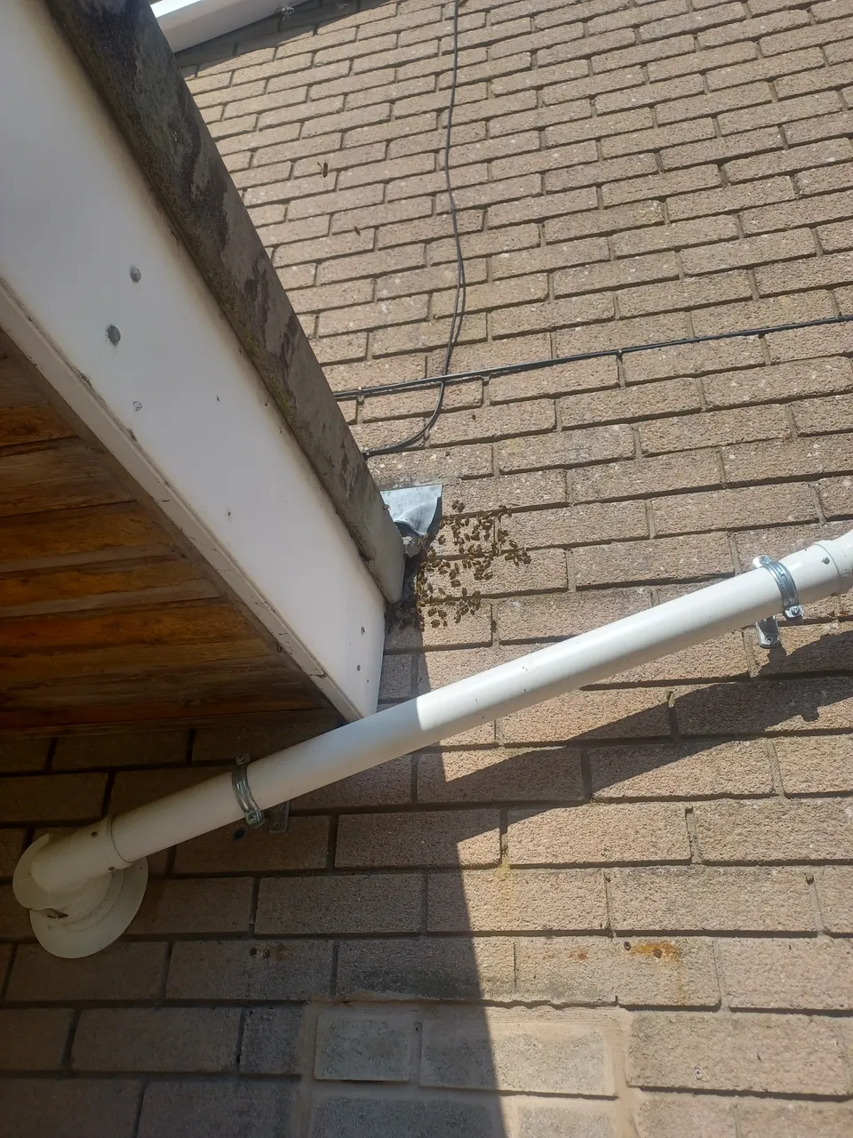 20250616_170004.jpg