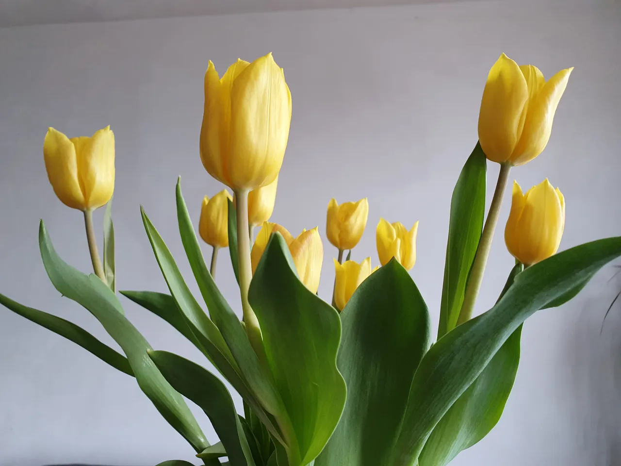 20210418_125206.jpg