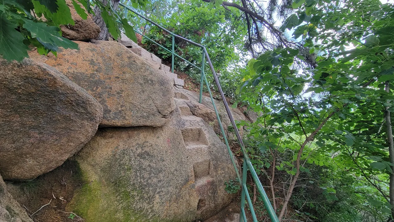 20220801_123511.jpg