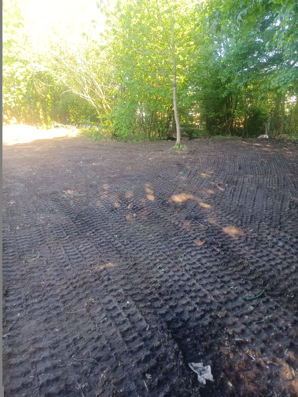 20250430_174610.jpg