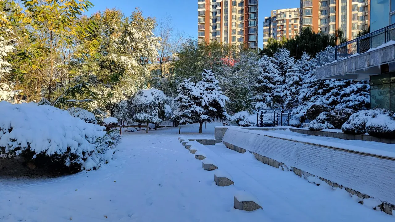20231107_074358.jpg