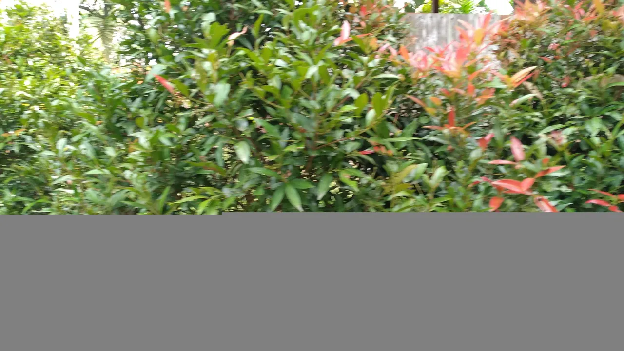20240307_113627.jpg