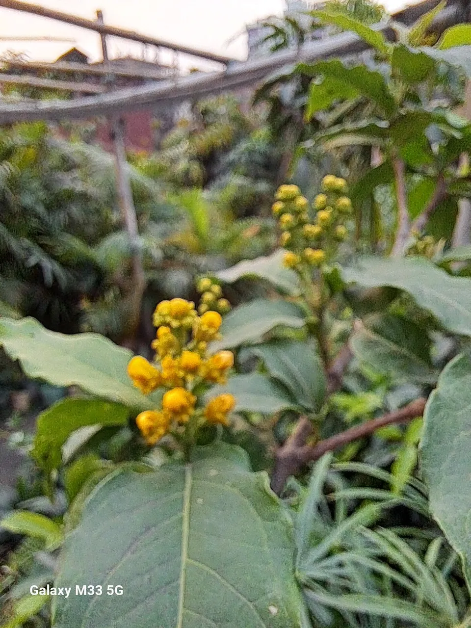 20250412_174648.jpg