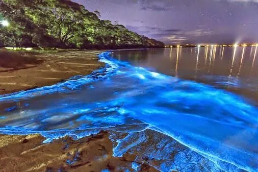 laguna mexico.jpg