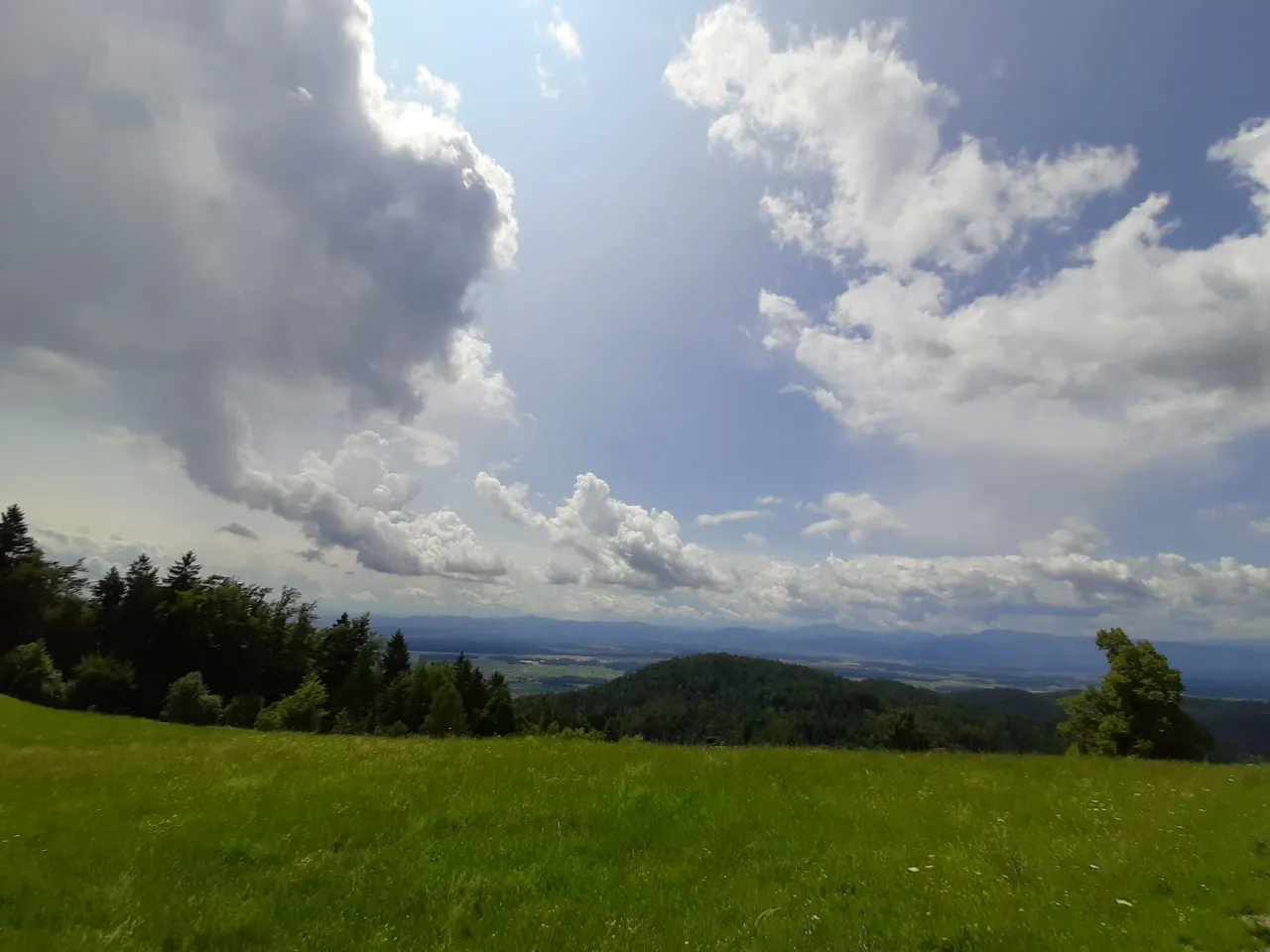 20190713_131945.jpg