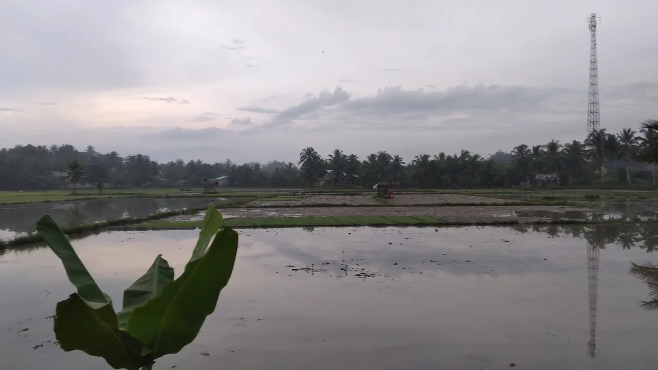20240116_065923.jpg