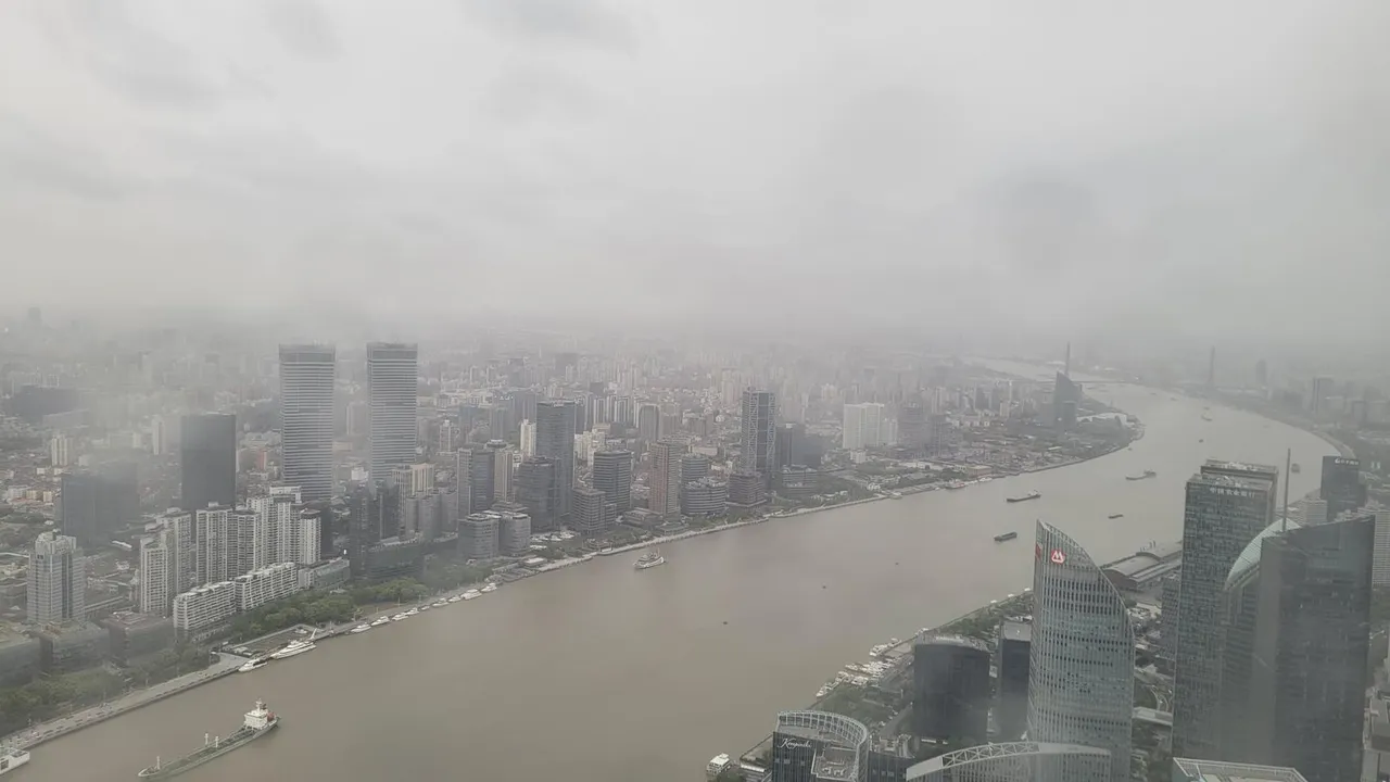 20230423_164934.jpg