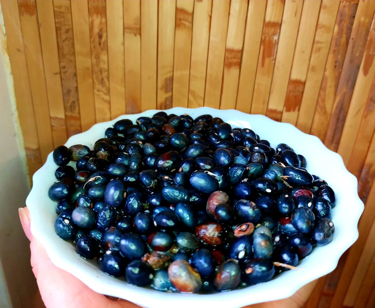 20220206_083125.jpg