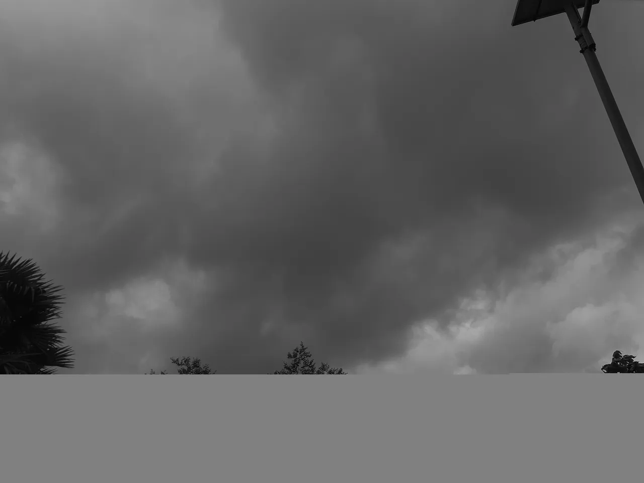 20200622_102107.jpg