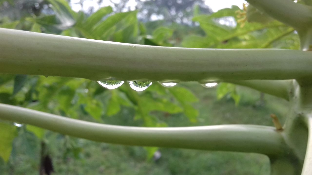 20200626_170058.jpg