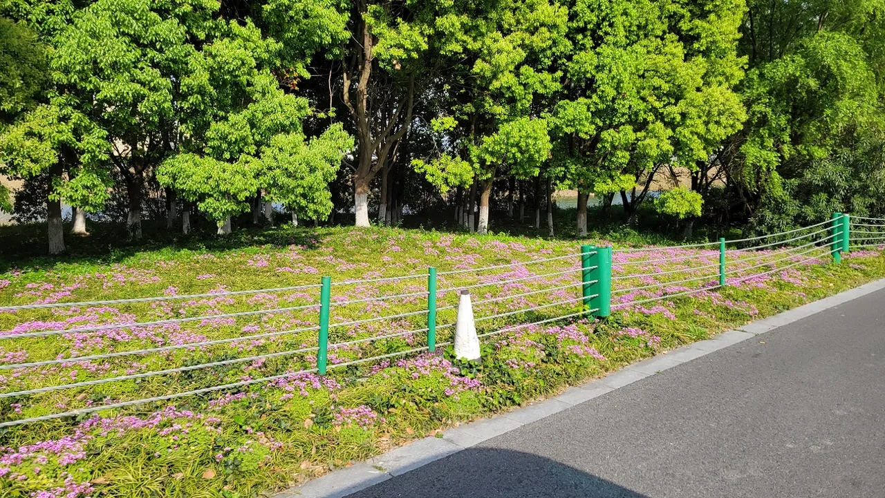 20230421_154253.jpg